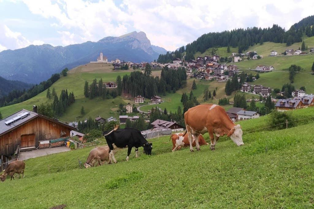 App. Monte Pore - La Majon * Colle Santa Lucia